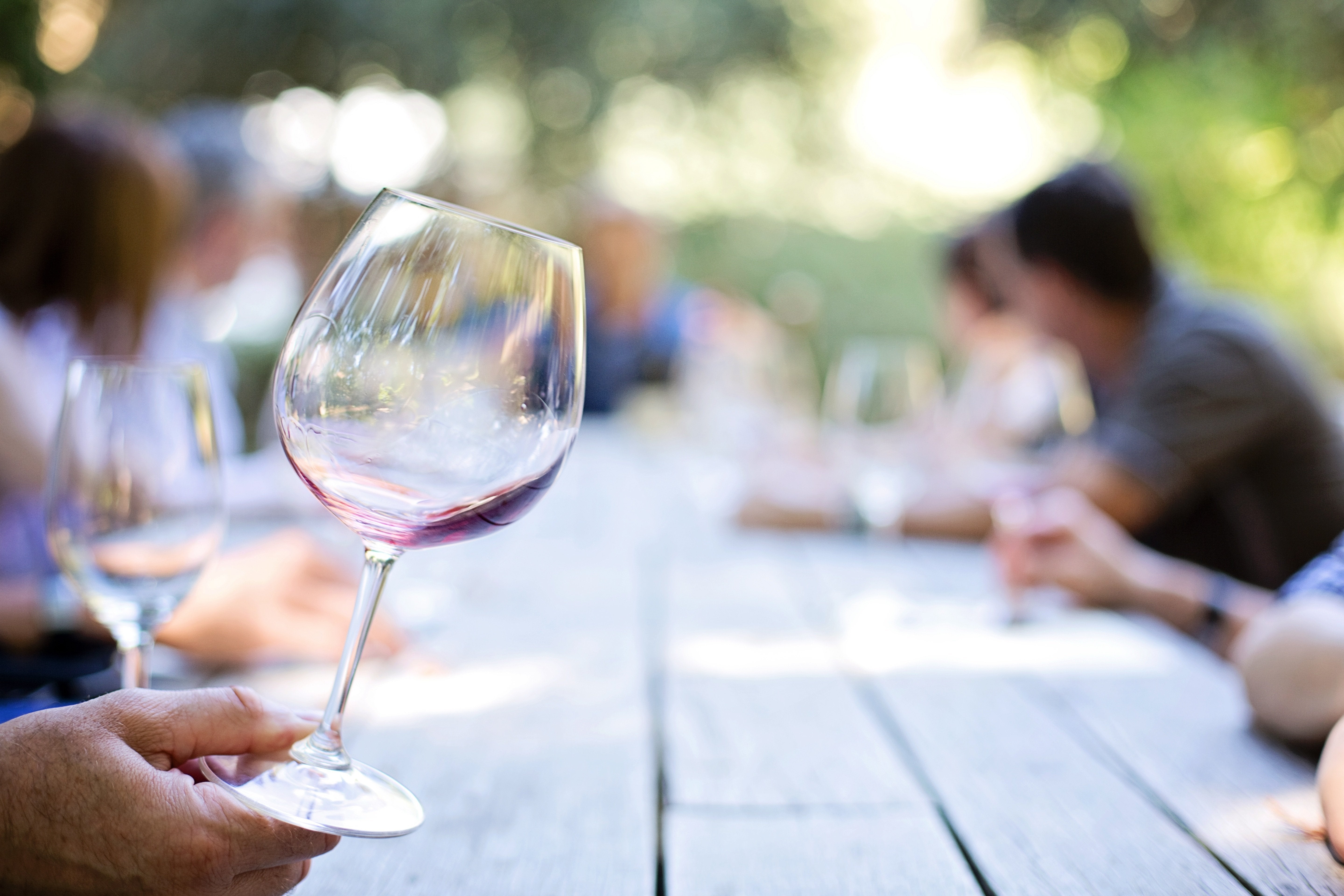 Más allá del Tempranillo: Descubre la Garnacha, Mencía, Bobal y Graciano