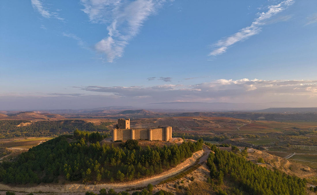 Rioja vs. Ribera del Duero: Guía definitiva para entender sus diferencias