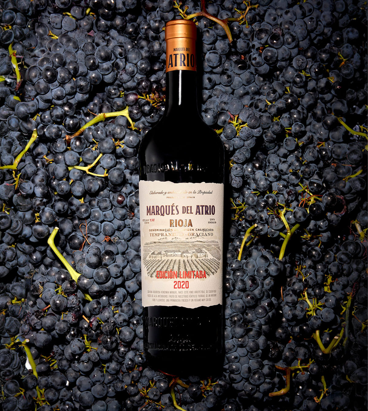 Marqués del Atrio Limited Edition