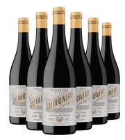 Valderivero Crianza - Caja de 6 botellas de 75cl