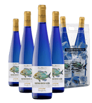 Faustino Rivero Ulecia Albariño  - Caja de 6 botellas de 75cl + regalo de hielera