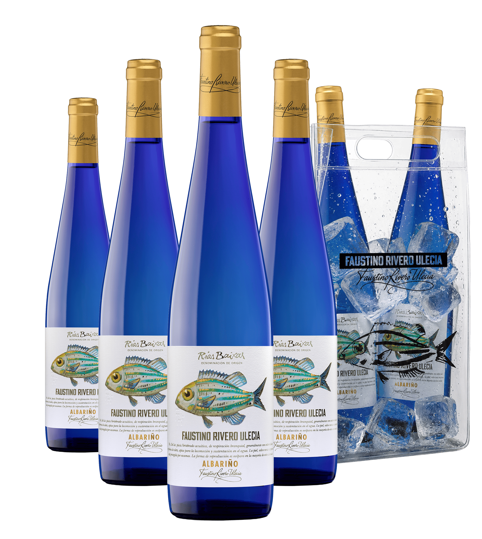 Faustino Rivero Ulecia Albariño  - Caja de 6 botellas de 75cl + regalo de hielera
