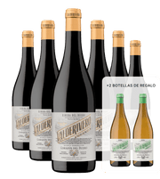 Pack 95 Puntos Decanter: 6 Valderivero Crianza + 2 botellas de Verdejo de Regalo